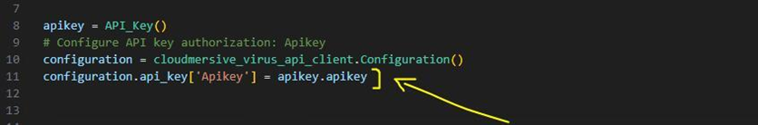custom api key auth python website scan