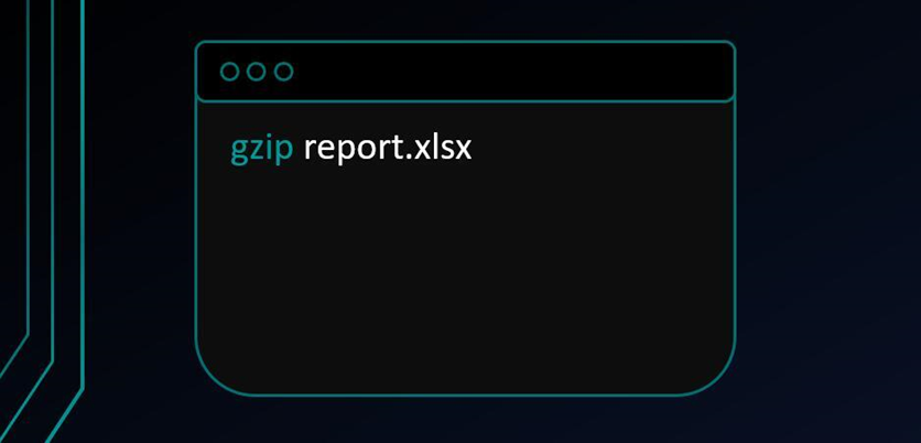 GZIP command line custom