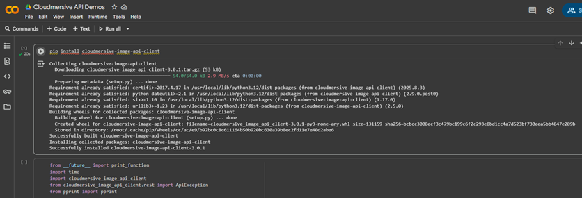 6 - run pip install