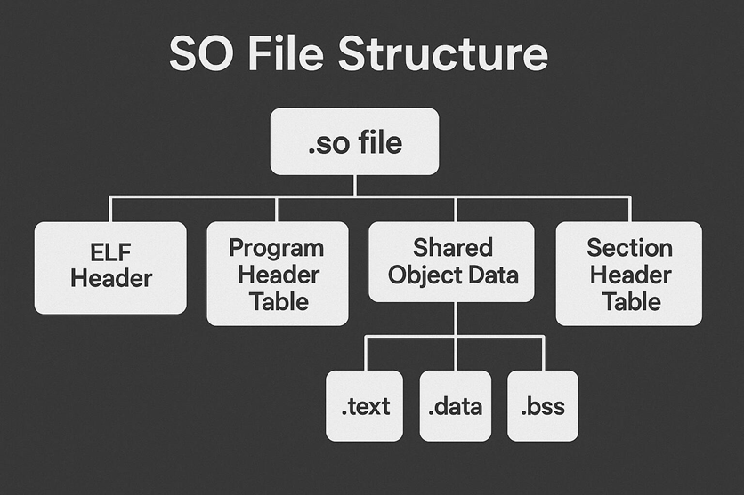 so file structure