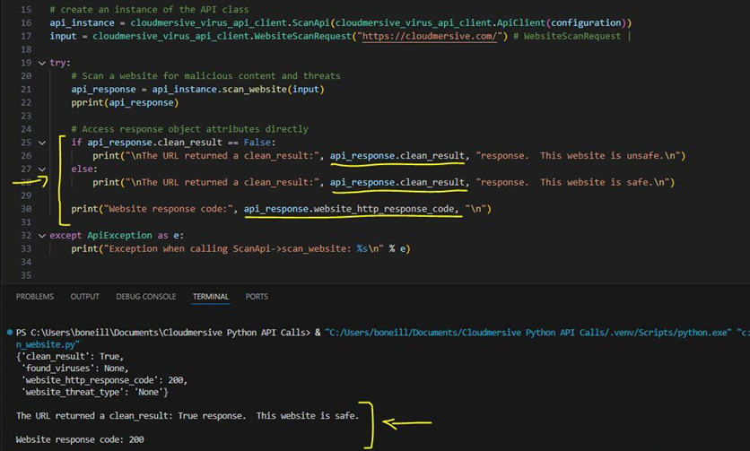 custom python website scan response handling