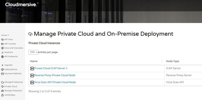 Management Portal - Private Cloud Instances