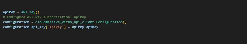 configuring api key authoriztion